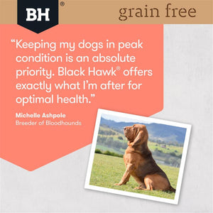 black-hawk-grain-free-dog-food-salmon-2