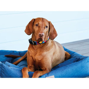 Weatherbeeta Polo Leather Dog Collar 