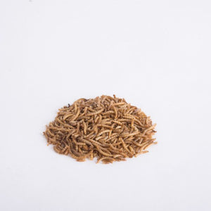 Mealworms - 125gms
