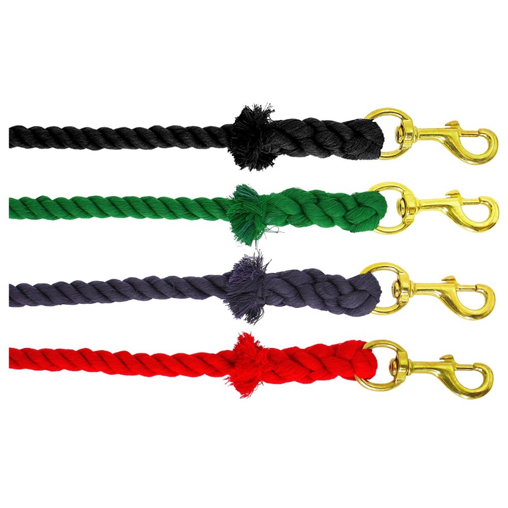 blue-tag-cotton-rope-lead