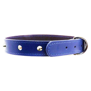 beau-pets-studded-dog-collar-blue