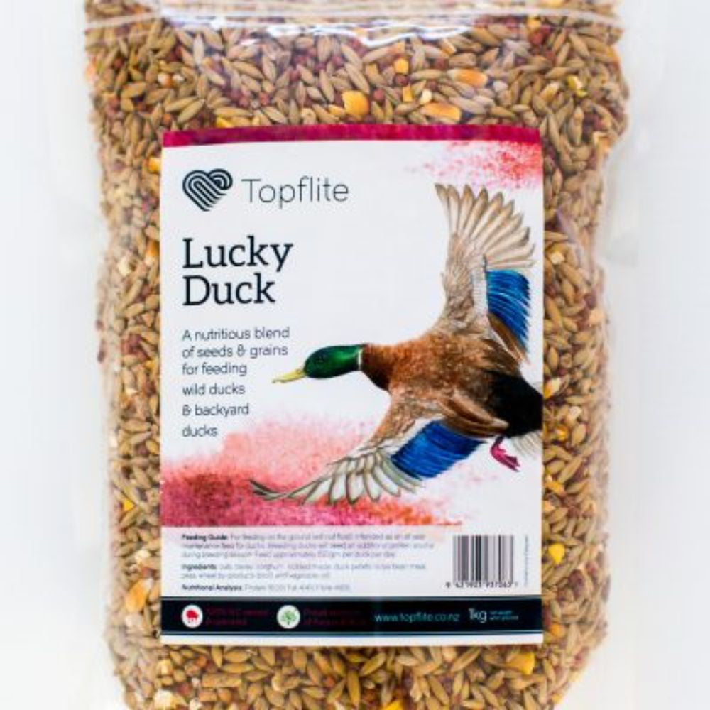 Topflite-lucky-duck