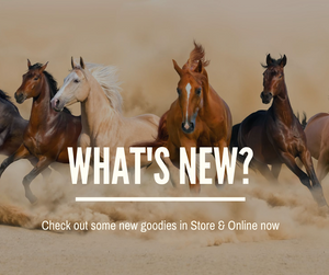 What's New In Store?