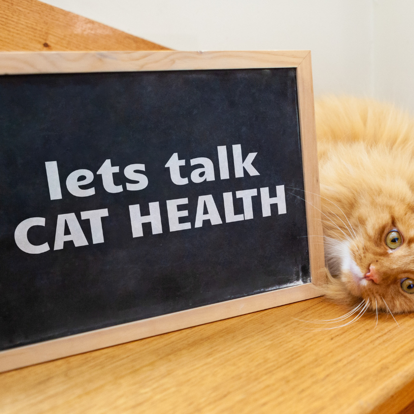 Cat Health