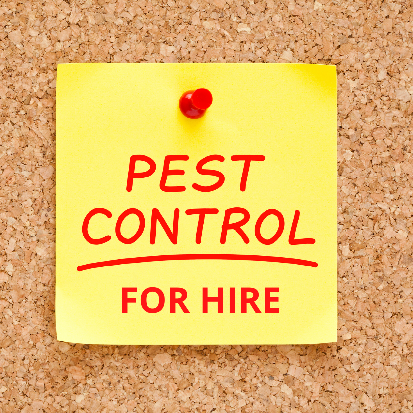 Live Animal Trap Hire