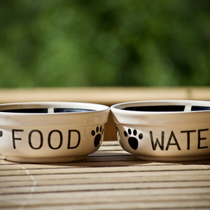Food and Water Bowls
