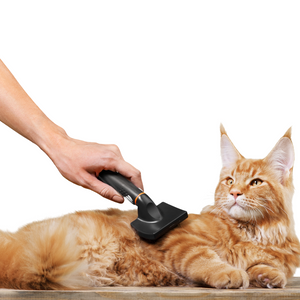 Cat Grooming Products