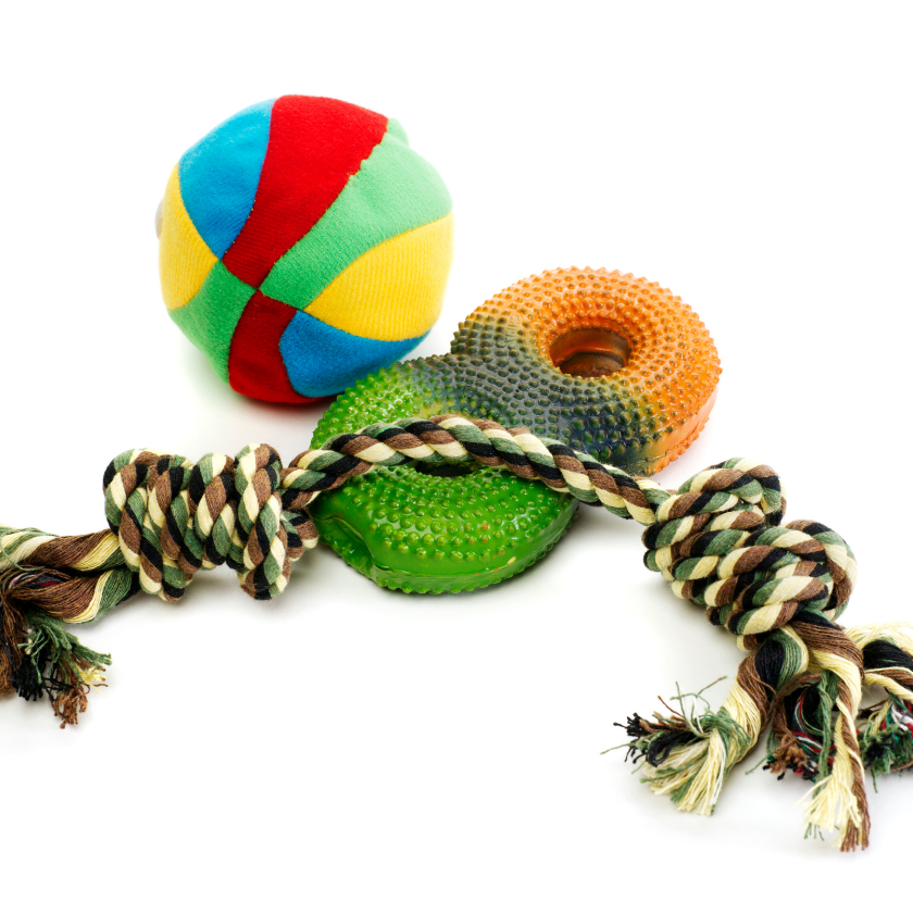 Dog Toys