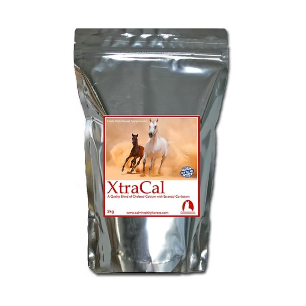 XtraCal