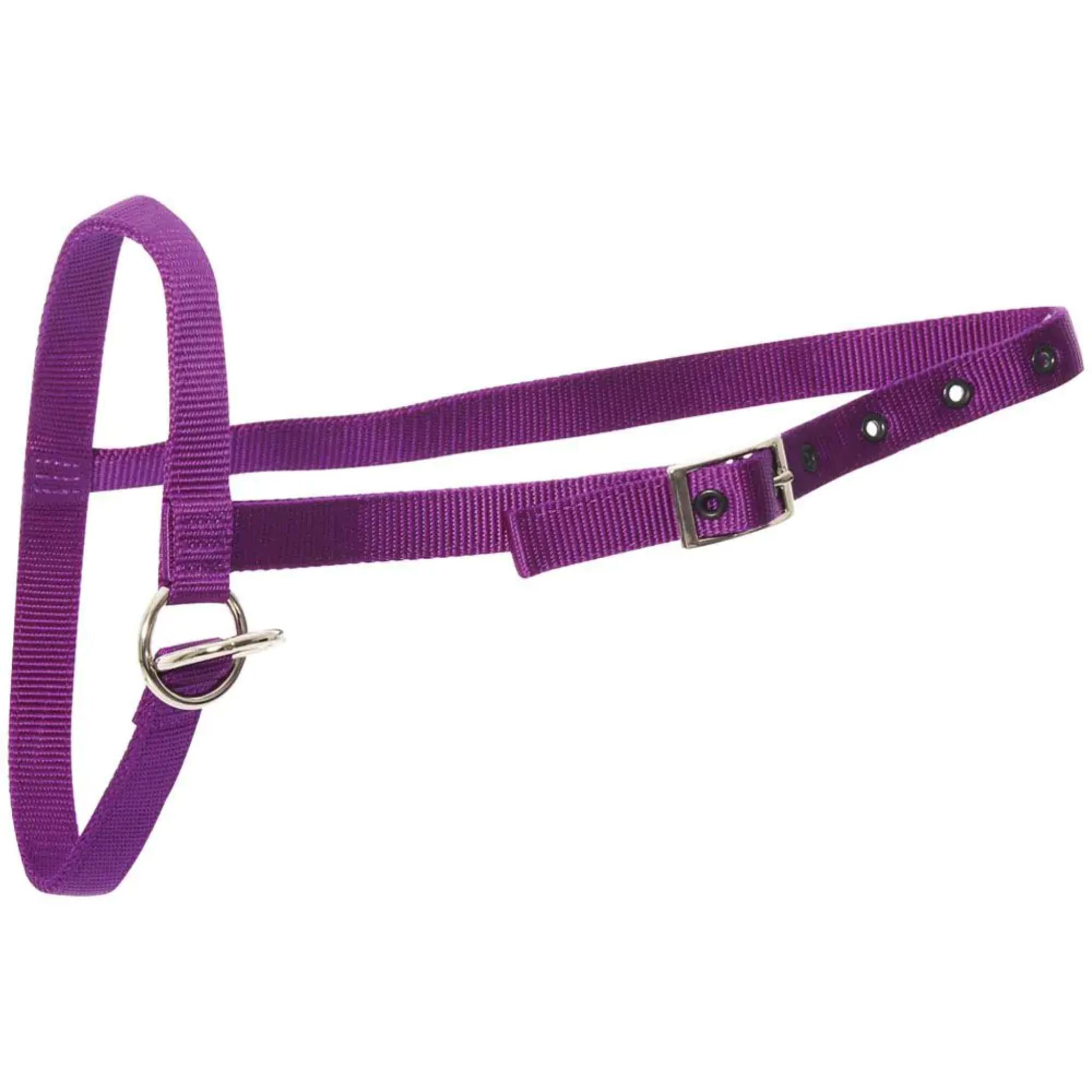 Halter Nylon Calf Leading