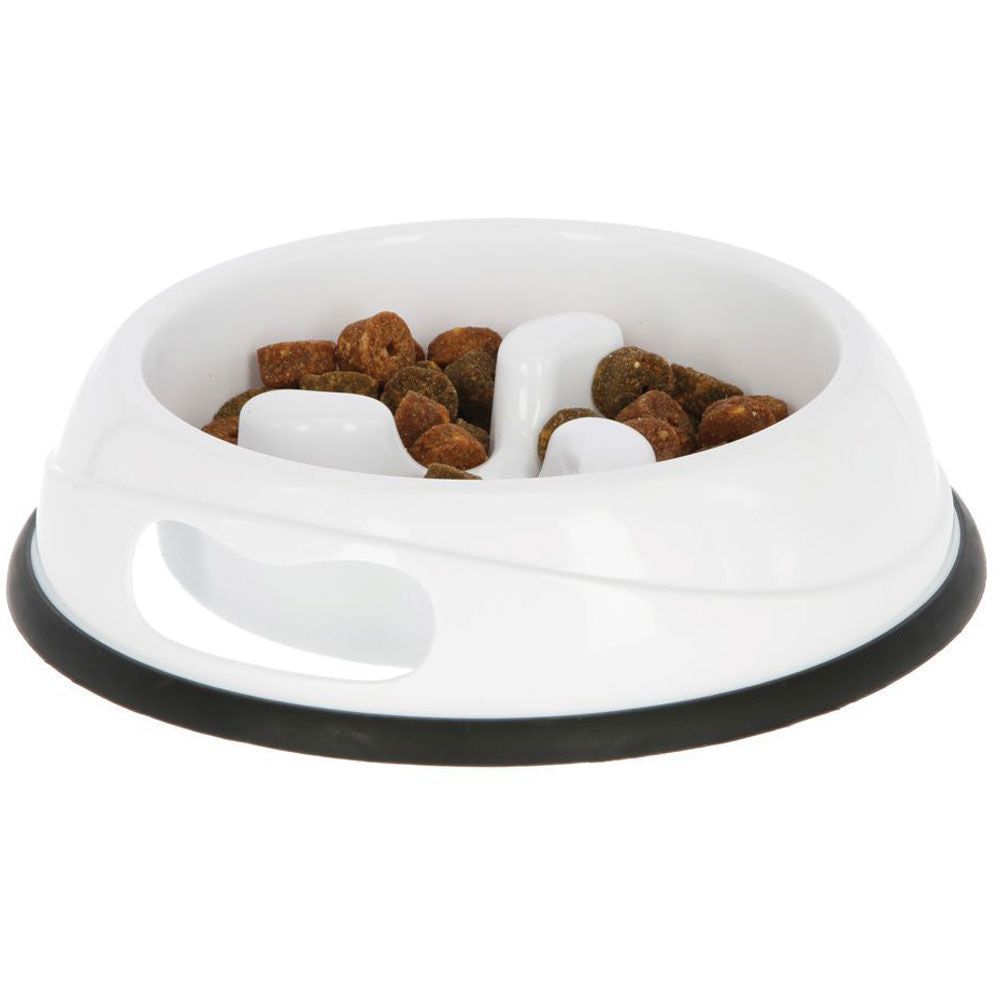 Dog Bowl Slow