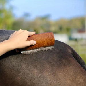 eco-horse-shedder