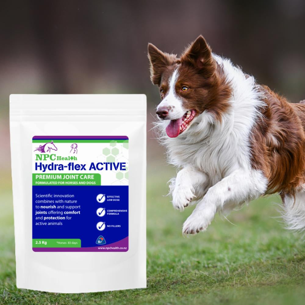 NPC Canine Hydra-flex ACTIVE