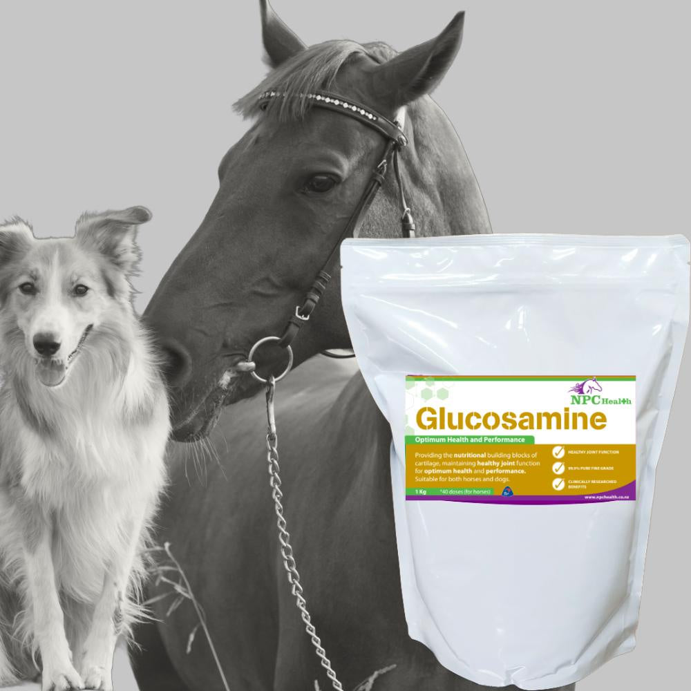 NPC Canine Glucosamine