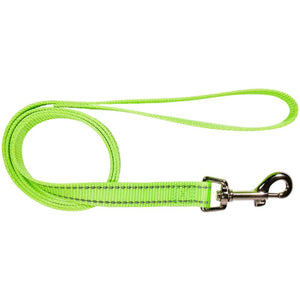 nylon-reflective-lead-dog