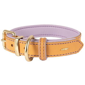 EzyDog Oxford Lilac Collar