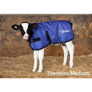 Thermoo-medium-blue