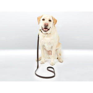 WB-Padded-Leather-Dog-Lead