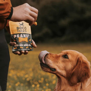 Beco-dog-treats-peanut