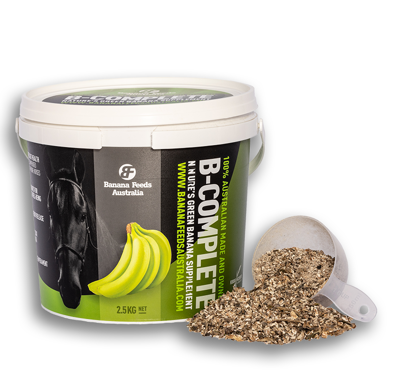 BFA B-Complete - 2.5Kg
