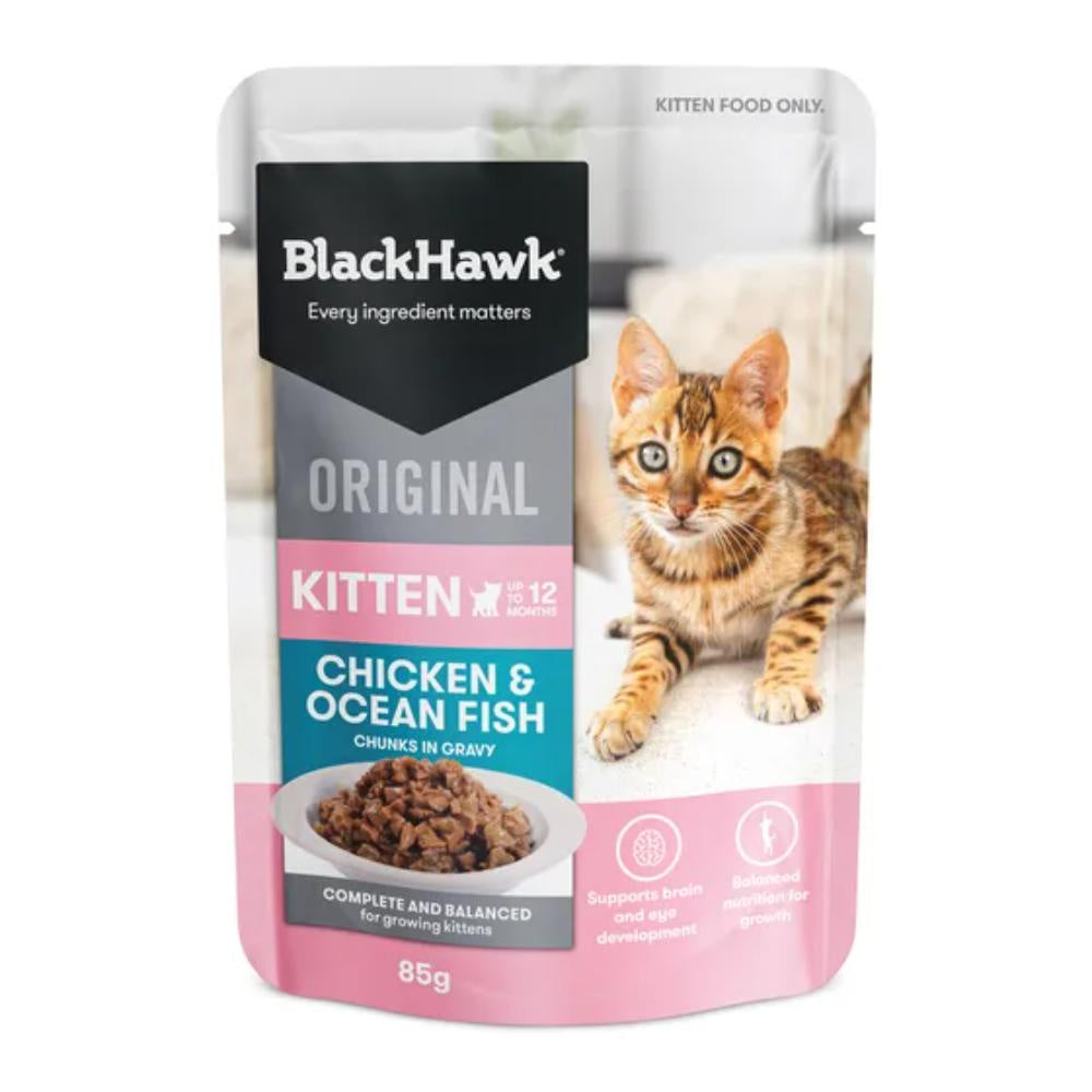 black-hawk-kitten-gravy-food