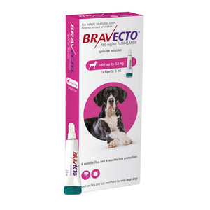 bravecto-spot-on-for-very-large-dogs