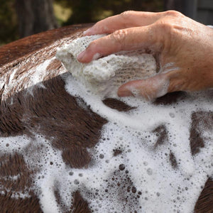 eco-horse-charcoal-block