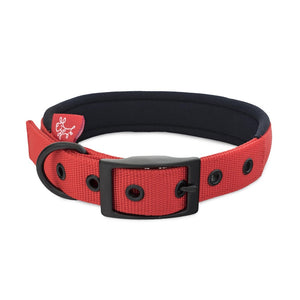 yours-droolly-foam-backed-collar-red