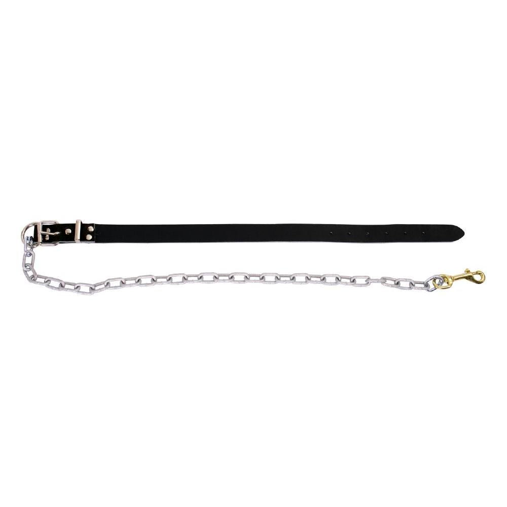 Drover Leather Dog Collar with Chain