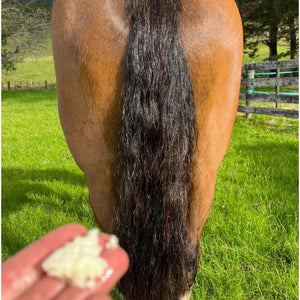 Eco-Horse-Leave-in-Conditioner-Tail