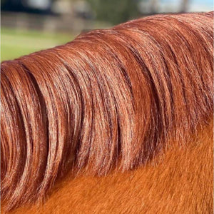 Eco-Horse-Leave-in-Conditioner-Mane