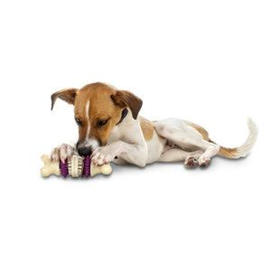 petsafe-busy-buddy-bristle-bone