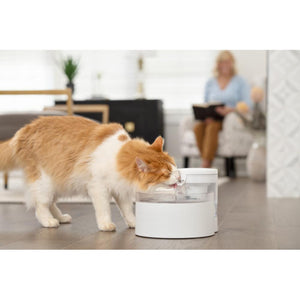 petsafe-water-drinking-fountain-for-pets