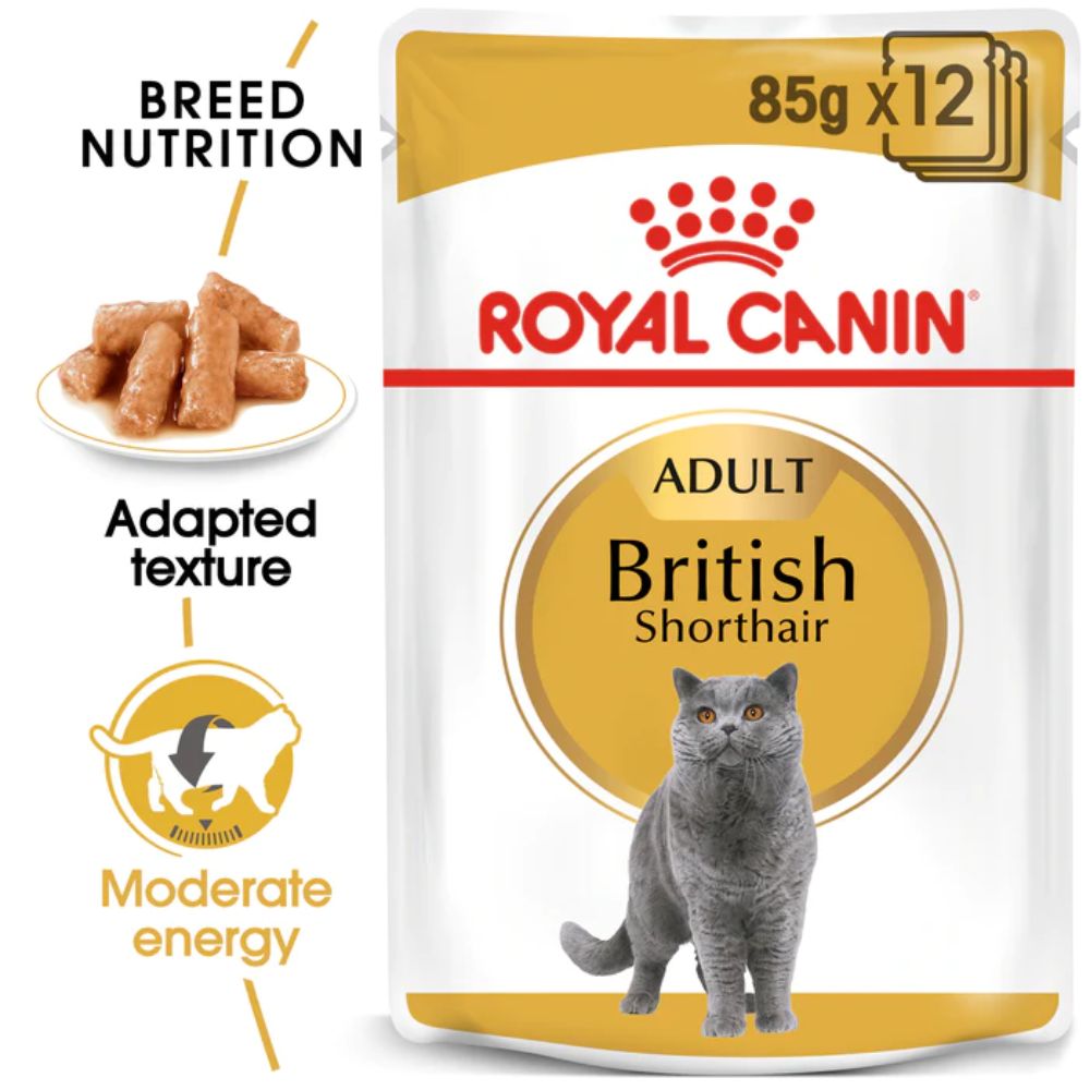 royal-canin-british-shorthair-gravy