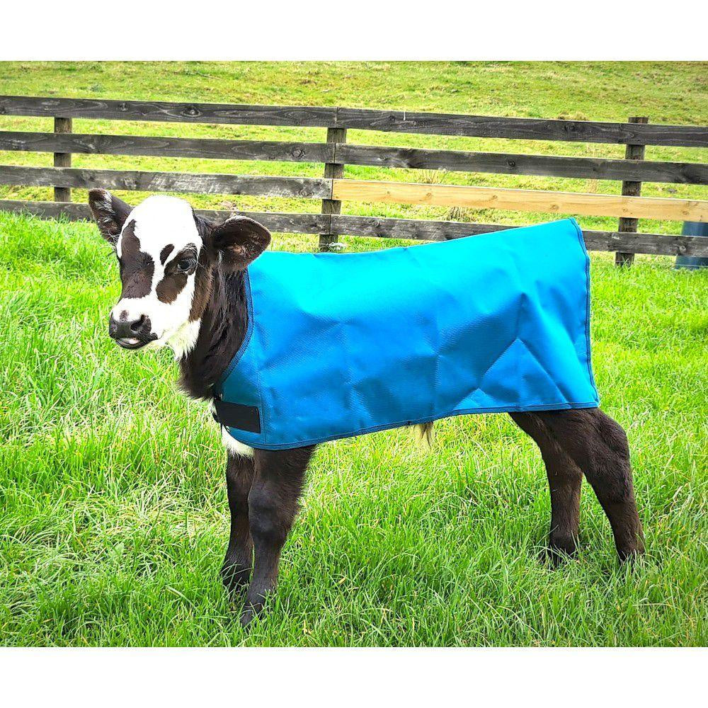 stay-on-calf-cover