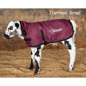 thermoo-small-burgundy