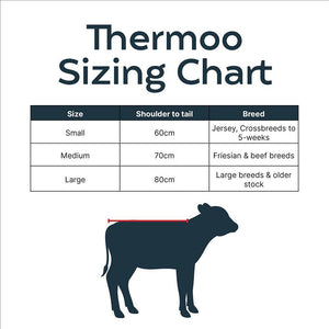 thermoo_size_guide