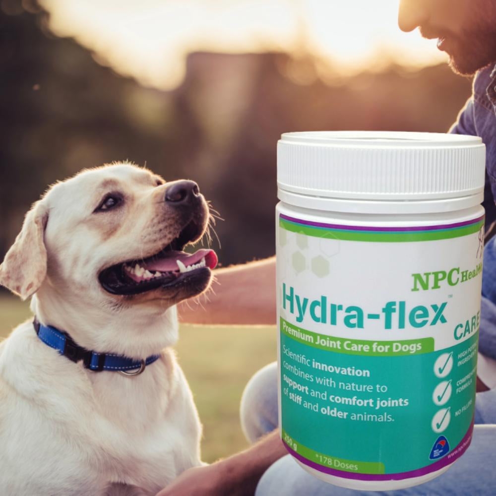 NPC Canine Hydra-flex CARE