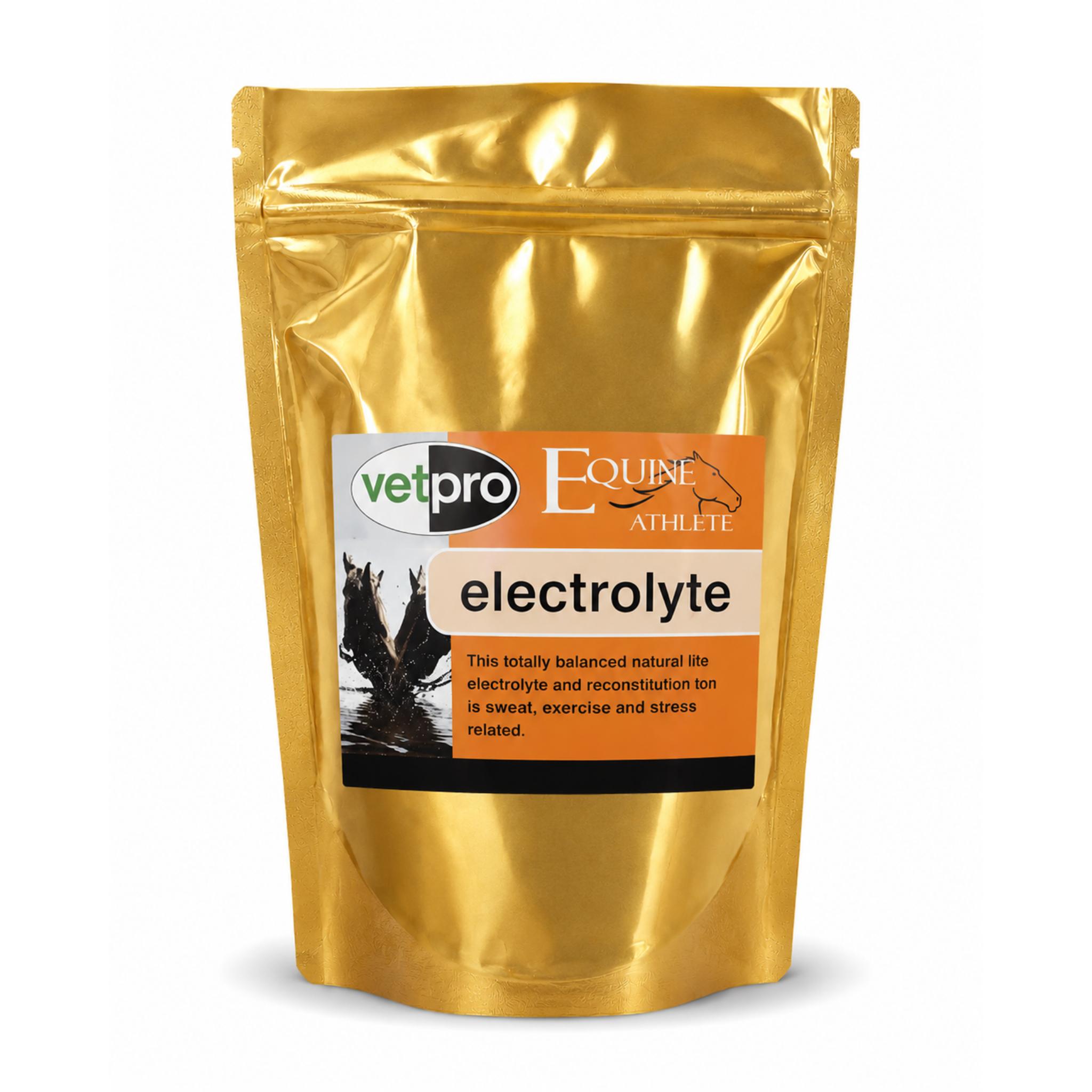 Equine Supplements Electrolytes Orange