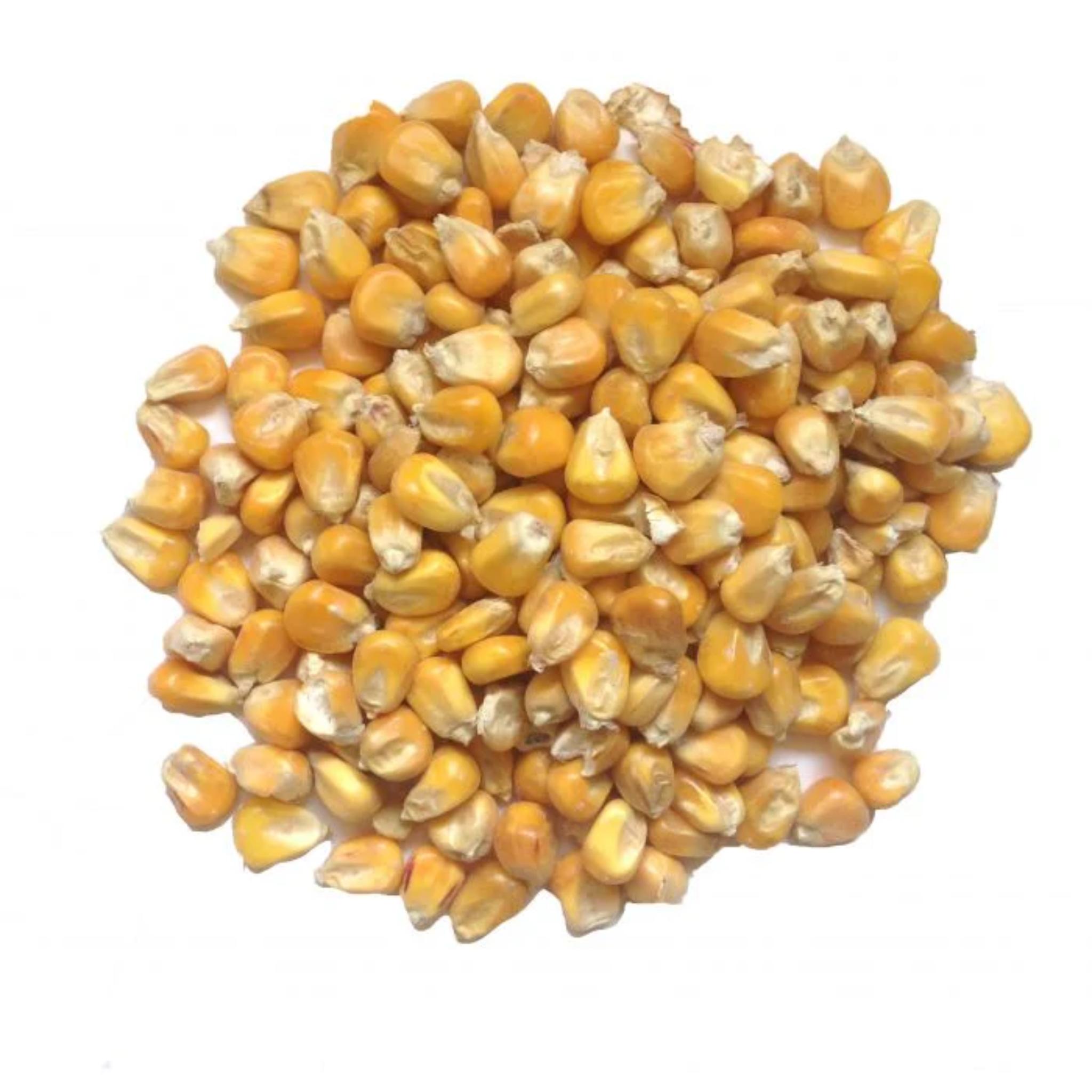 Fiskens - Whole Maize 25Kg