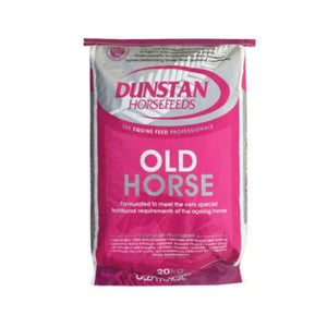 Dunstan-Old-Horse