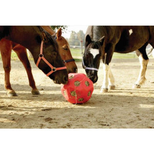 Horse Toy Hayball