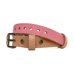 pawdel-handcrafted-leather-dog-collar-rose
