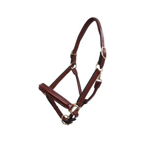 PLATINUM RAISED/PADDED LEATHER HALTER