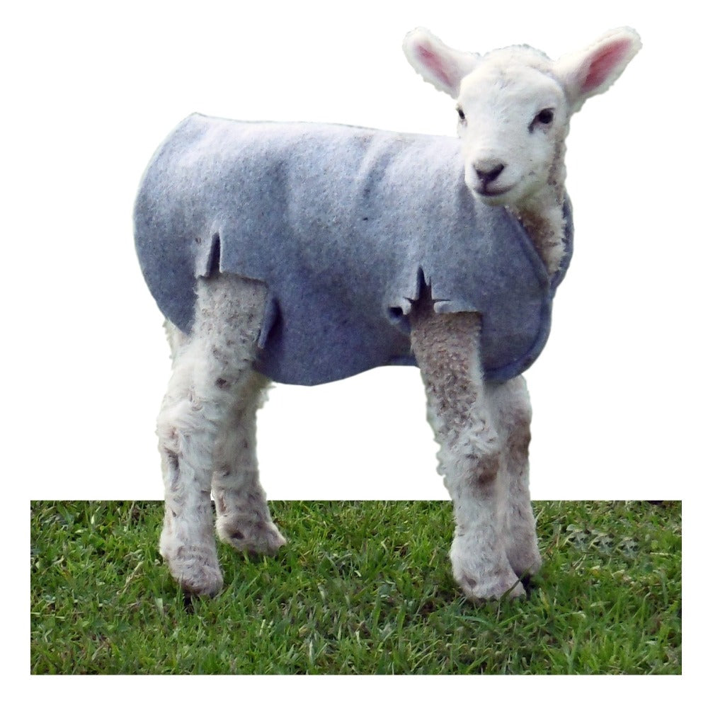 Lamb-cosy-coat