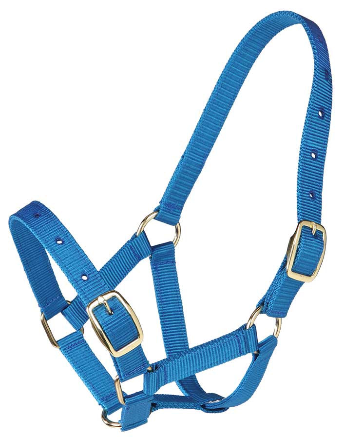 Gymkhana Foal Halter