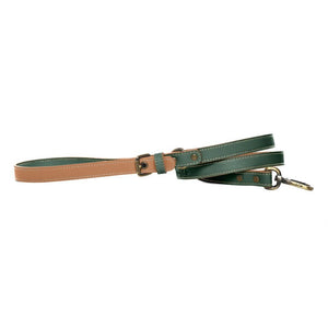 Pawdel-Leather-Handcrafted-Dog-Lead