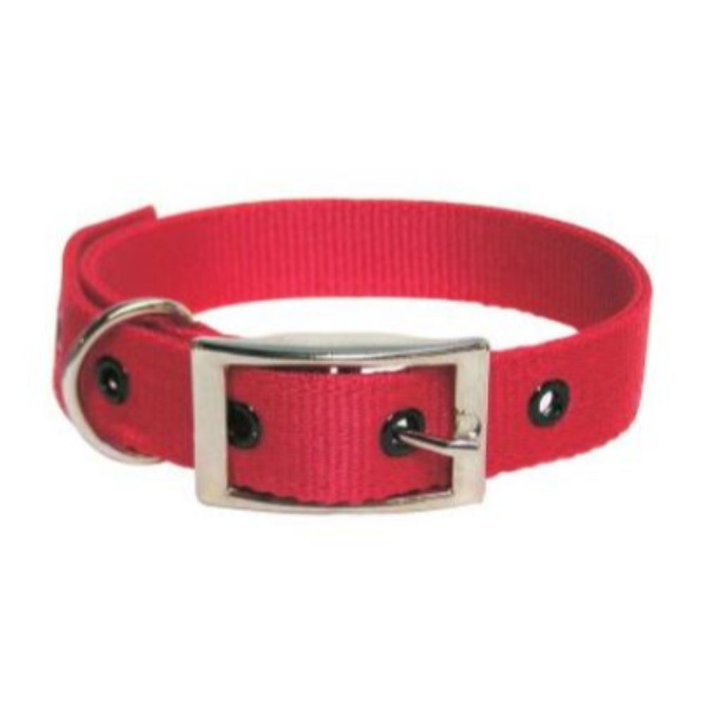 Goat Collar Nylon