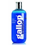 CDM Gallop Colour Shampoo