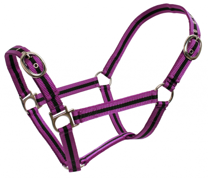 Striped Web Halters